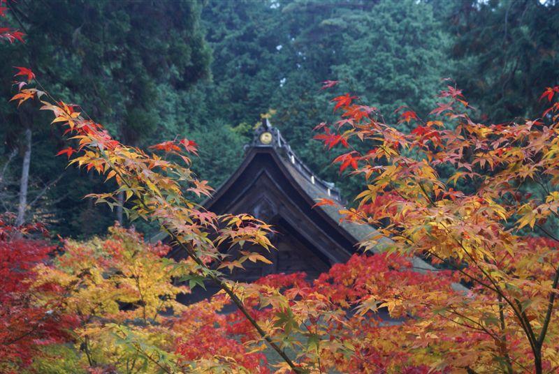 2008-08永源寺・湖東三山 _c0185066_923353.jpg