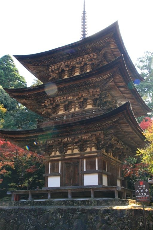 2008-08永源寺・湖東三山 _c0185066_954871.jpg