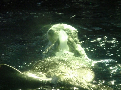 c0105785_10281569.jpg