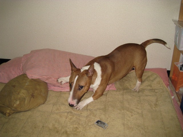 f0180994_09719.jpg
