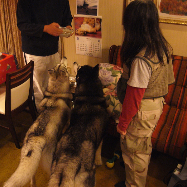 c0049299_2059377.jpg