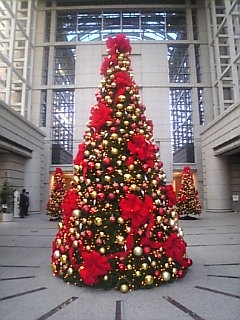 d0052904_2355555.jpg