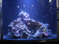 c0165807_2256249.jpg