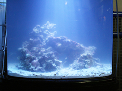 c0165807_2384997.jpg