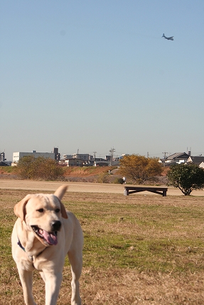 f0191413_17184340.jpg