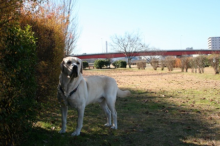 f0191413_17414124.jpg