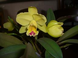 c0138720_2322277.jpg