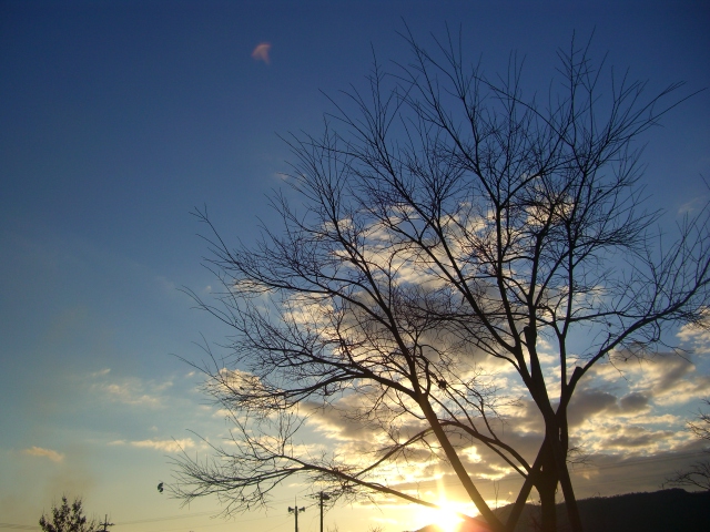 c0077330_23473827.jpg