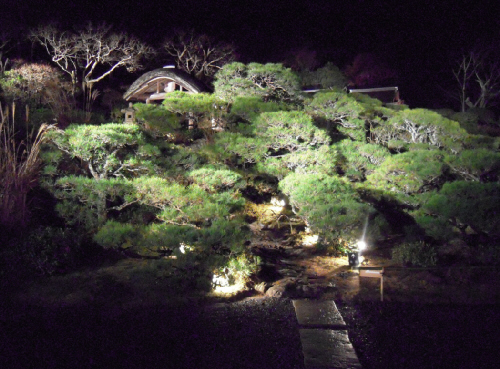 京都　嵐山・花灯路_d0017632_17351175.jpg