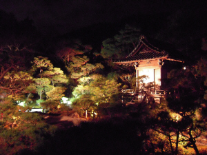 京都　嵐山・花灯路_d0017632_17512265.jpg