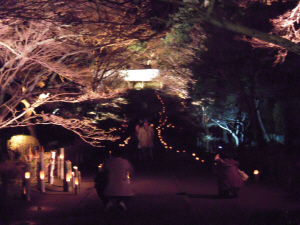 京都　嵐山・花灯路_d0017632_1818184.jpg