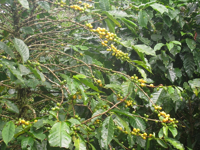 b0127144_9342362.jpg