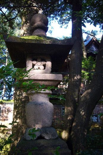 c0093046_19382117.gif