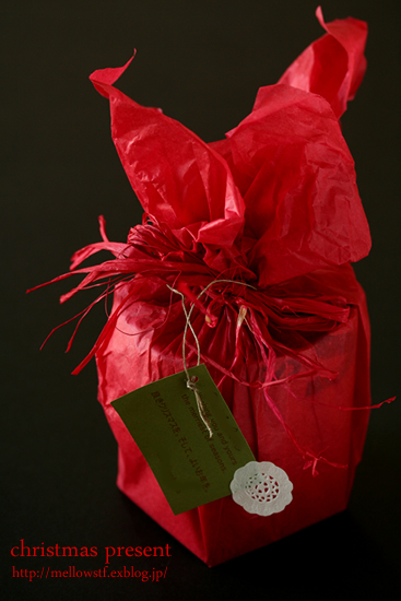 2008年のクリスマス・ツリー_d0124248_1010543.jpg