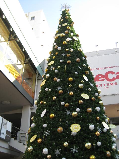【元町のクリスマスと汐汲坂ガーデンのプレートランチ[動画を追加しました)】_b0009849_20554574.jpg
