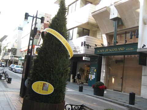 【元町のクリスマスと汐汲坂ガーデンのプレートランチ[動画を追加しました)】_b0009849_2056102.jpg