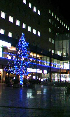 f0083649_2117759.jpg