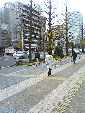 a0096557_217310.jpg