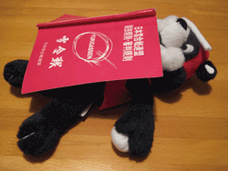 b0159557_17372286.gif