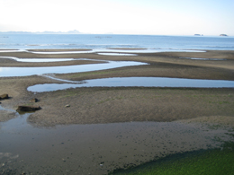 f0162263_15403582.jpg