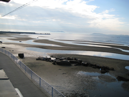 f0162263_15404860.jpg