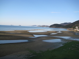 f0162263_15405866.jpg