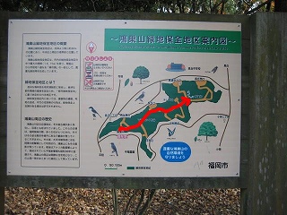 鴻巣山 こうのすやま 100m 福岡市 マテバシイの森 自然遊歩道 日々是好日 鴻巣山 こうのすやま 100m 福岡市 マテバシイの森 自然遊歩道 日々是好日