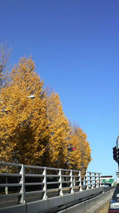 c0127670_342794.jpg