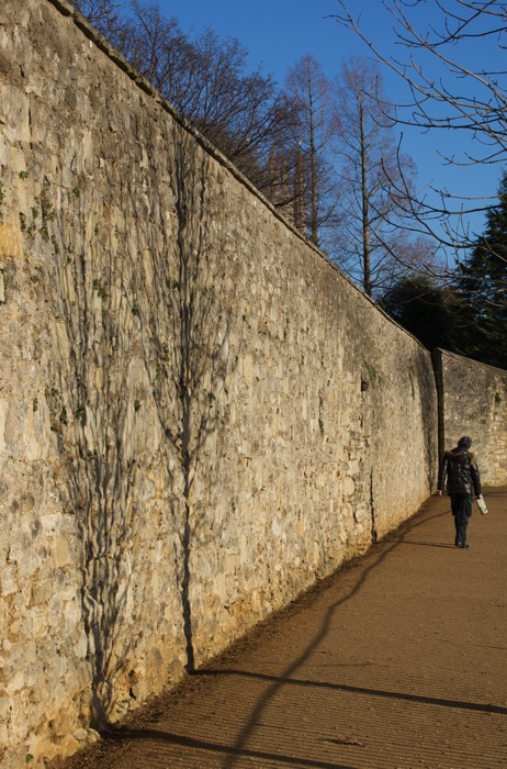c0164274_23087.jpg