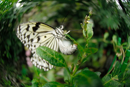 c0177576_2328843.jpg