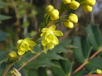 c0156104_0392980.jpg
