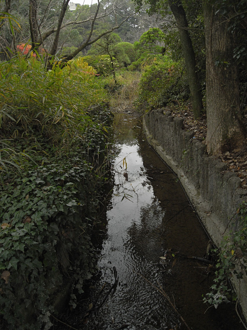 柳川オフ会　高畑公園付近　だと思う_a0037907_21581739.jpg