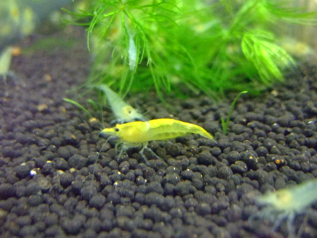 f0152308_20201352.jpg