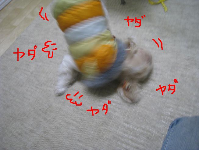 f0195809_0115728.jpg