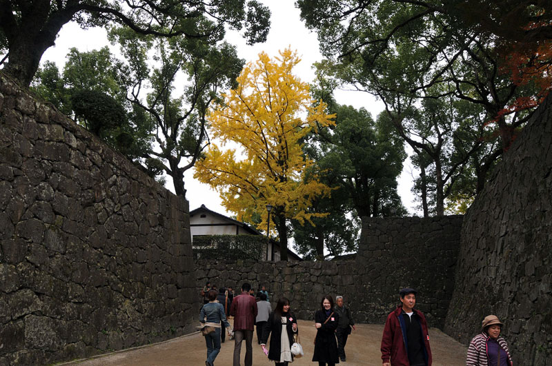 日本のお城 熊本城_a0042310_1814310.jpg