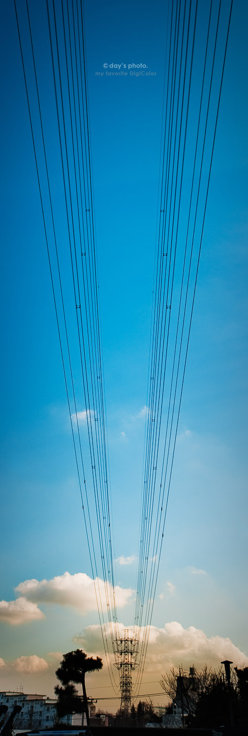 e0117517_0281549.jpg