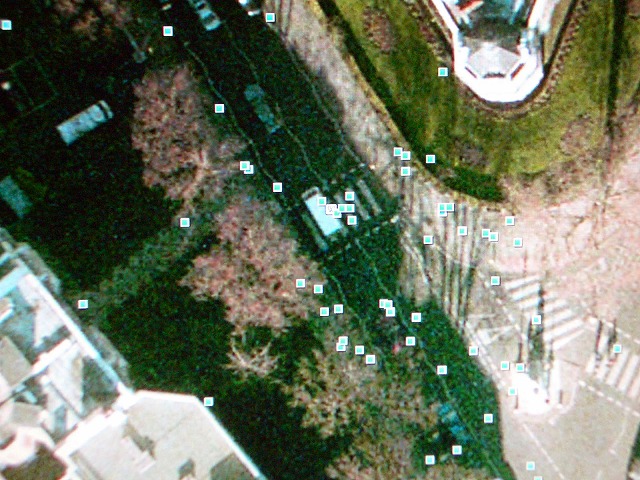 c0128722_12006.jpg