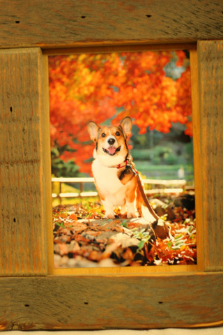 紅葉の写真^^そして3人でお出かけよ~_e0071225_11315098.jpg