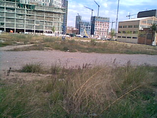 a0059032_2111110.jpg