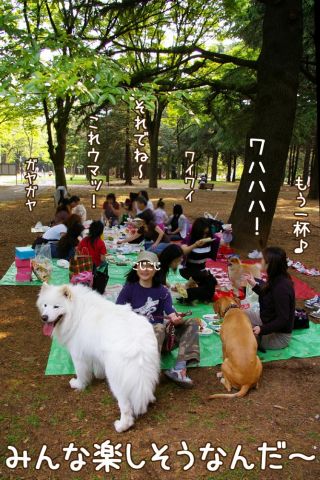今日は_c0062832_1321879.jpg