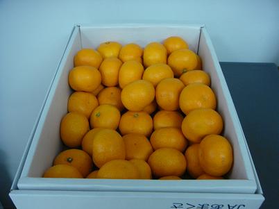c0146040_17304943.jpg