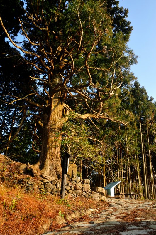 c0024254_8384363.jpg