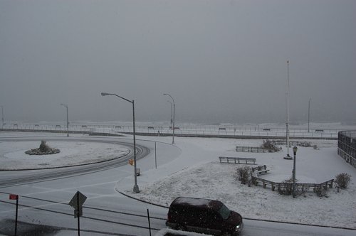 NYは大雪だ!_f0088456_133964.jpg