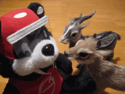 b0159557_165298.gif