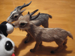 b0159557_16533869.gif