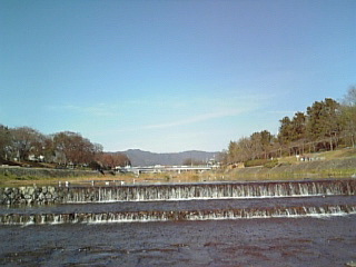 b0045759_39265.jpg