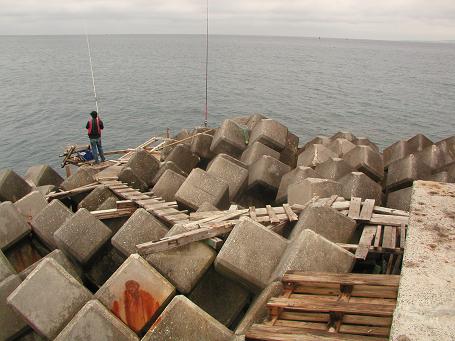c0180460_1511853.jpg