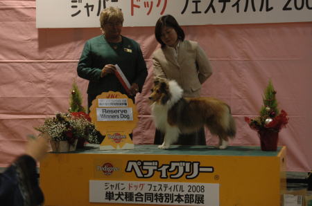 Japandogfestival 2008 単犬種合同特別本部展２_f0126965_1616456.jpg