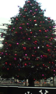 e0128581_16929.jpg
