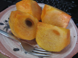 f0091785_16502739.jpg